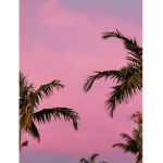 Tropical peoples