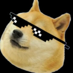 Doge-Squad