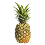 pineapple kingdom real