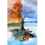 Nature Color Cafe