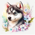 Huskersn