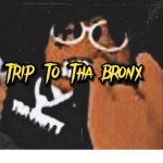 NY Trip To The Bronx