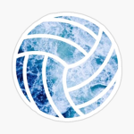 Official Volleyball League:)
