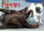 친구부대