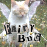 Fairybugs
