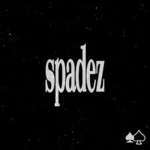 Spadez swet