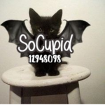 SoCupid ま