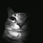 Small Hours