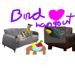 Bird Hangout! [Testing]