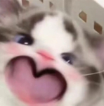 JustWantToGiveRobux