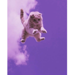 Lu_SL