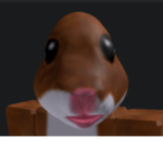HN HAMSTERS UNITED