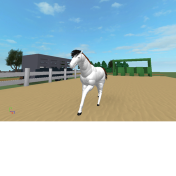 Horse Race track
