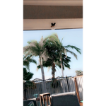 ʙᴀᴅ ᴋᴀʀᴍᴀ <33