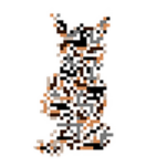 MissingBingus