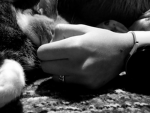 SLEEPY CATS >∆<