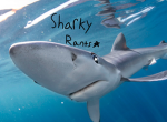 SharkyRants group!