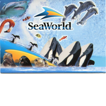 sealion stadium