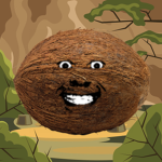 COCONUT HQ