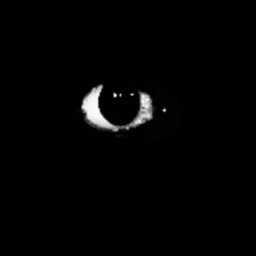 <O> icon
