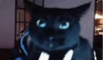 KITTYUUHH GROUP FANS