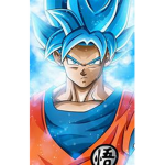 GOKU AKA GOKU FAN