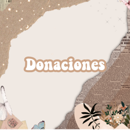 ✧ donaciones ✧