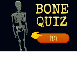 The Bone Quiz (Beta 1.0)