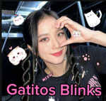 Gatitos Blinks