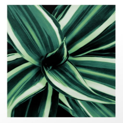 white jewel Roblox decal