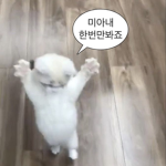 은 (안)사a랑해
