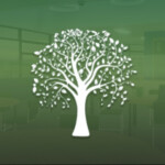 Kingston Park School: Our Campus