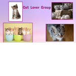 Cat ##### Group!!