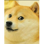 The Military Doge Group
