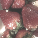 ~The Strawberries~