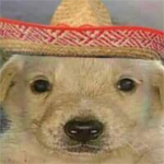 el tilin insano_xd