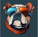 SalehTHECoolDEV