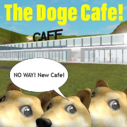 Doge Cafe