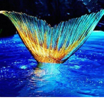 « || Underwater Cafe! || »