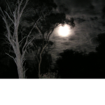 Dark s0uls