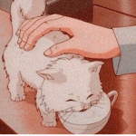 Los gatos aesthetic uWu