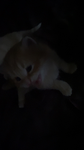 /wwwwlqp