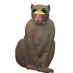 Monkey's R Us