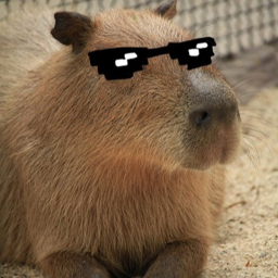 Mini Obby Capibara