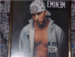 eminems subjects