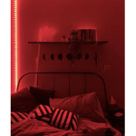[AC] Aesthetic Company.