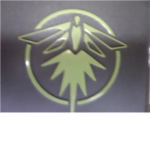 Firefly Tech.