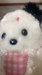 ちきーーーーん！