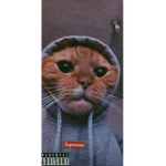 Pawcio_Oskijomki