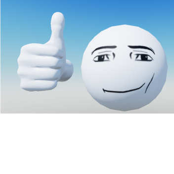 The Shape Face Experience